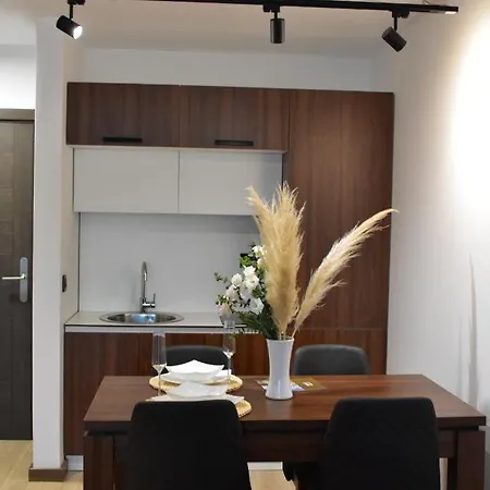 Silver View * Kopaonik