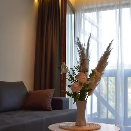 Apartment Silver View