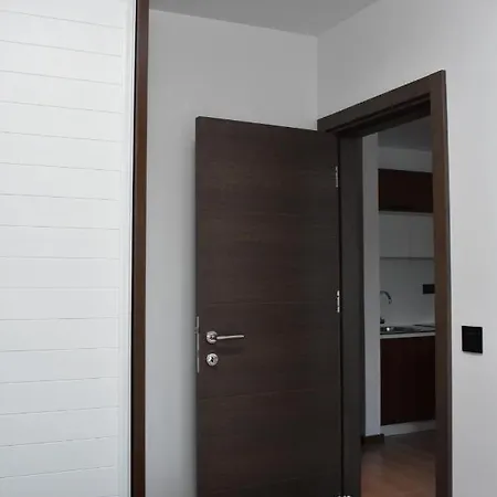 Apartment Silver View Kopaonik