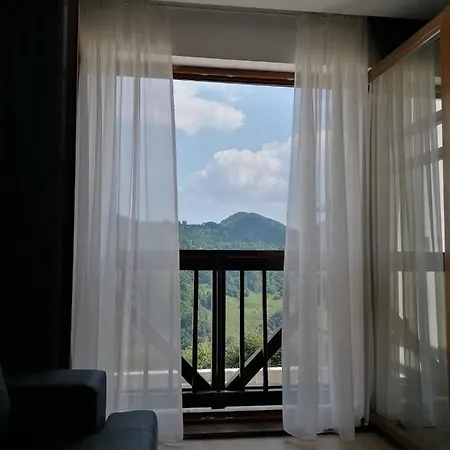 Silver View Kopaonik