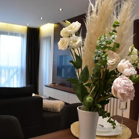 Silver View Apartment Kopaonik