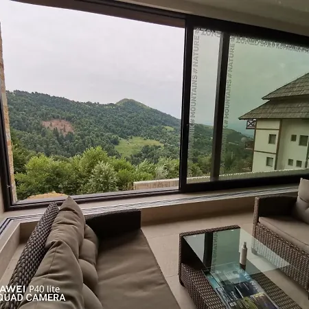 Apartment Silver View *