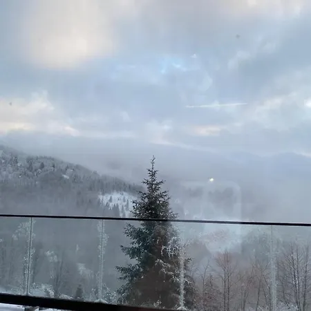 Apartment Silver View Kopaonik