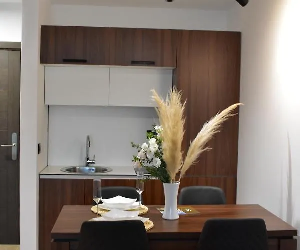 Silver View * Κοπαόνικ