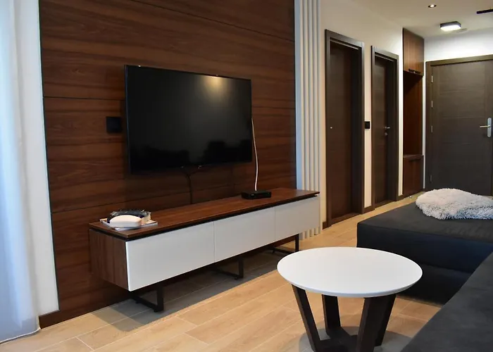 Silver View Κοπαόνικ