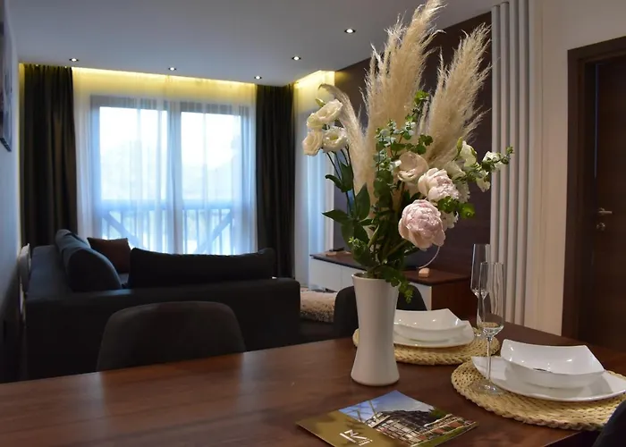 Silver View * Κοπαόνικ