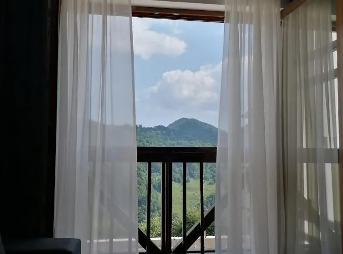 Silver View Κοπαόνικ