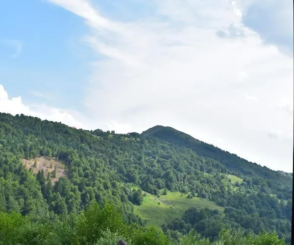 Διαμέρισμα Silver View *