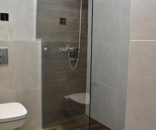 Silver View * Κοπαόνικ