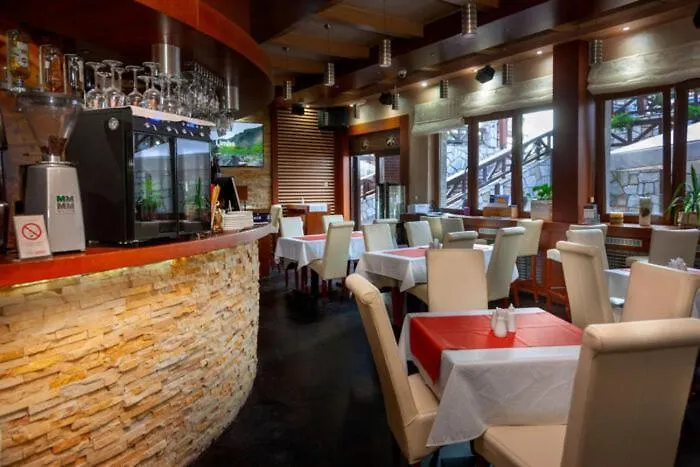 Silver View Κοπαόνικ