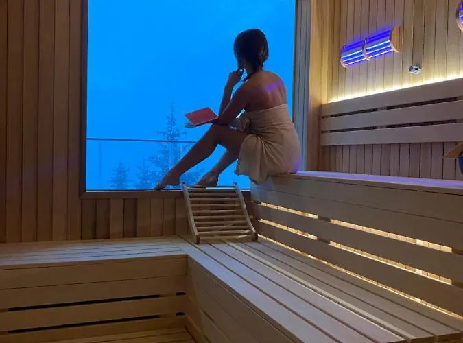 Silver View * Κοπαόνικ